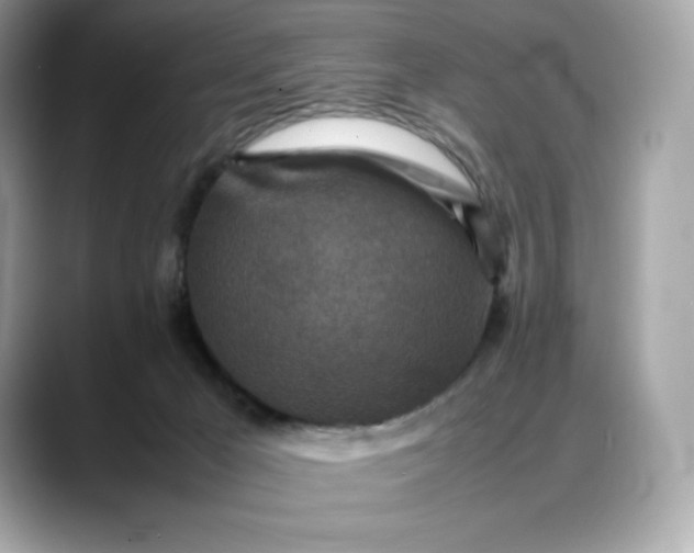 X0000088360029200706051031