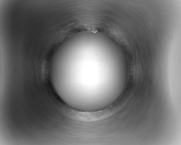 X0000088360030200706051031