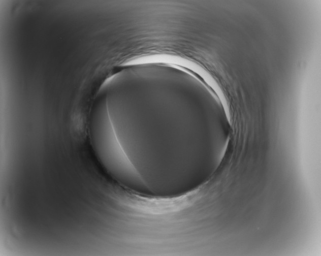 X0000088360031200706051031