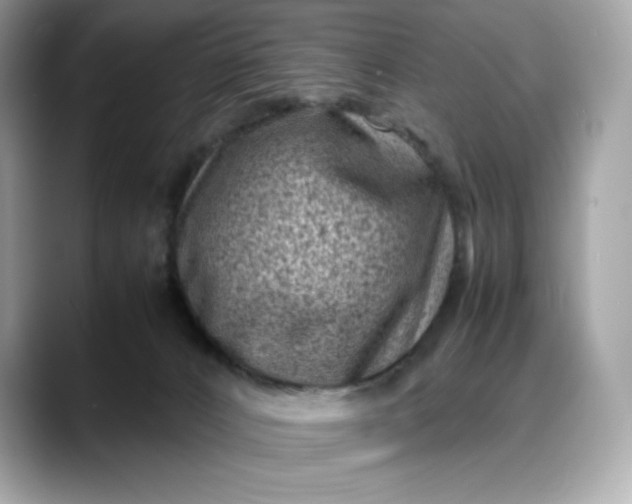 X0000088360032200706051031