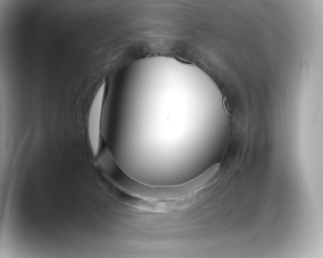 X0000088360033200706051031