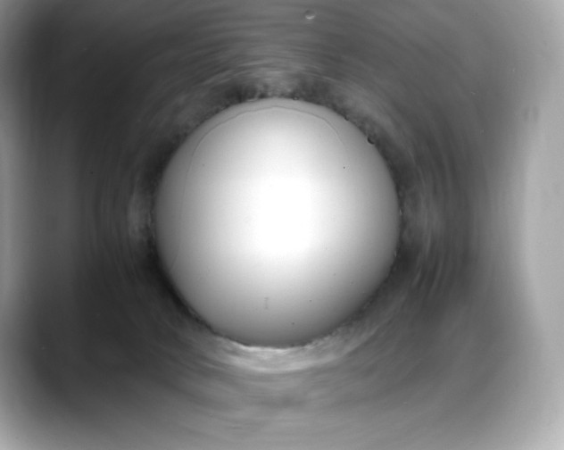 X0000088360034200706051031