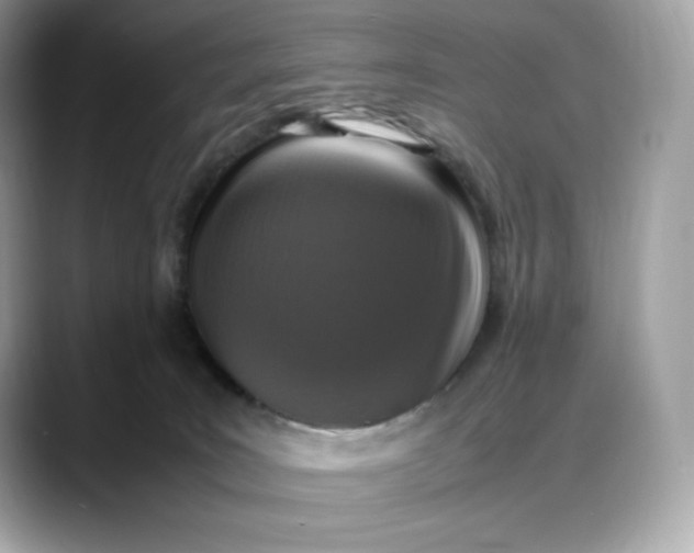 X0000088360035200706051031