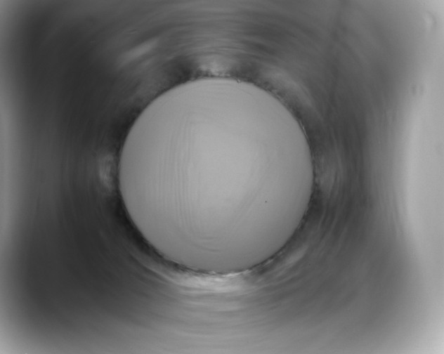 X0000088360036200706051031