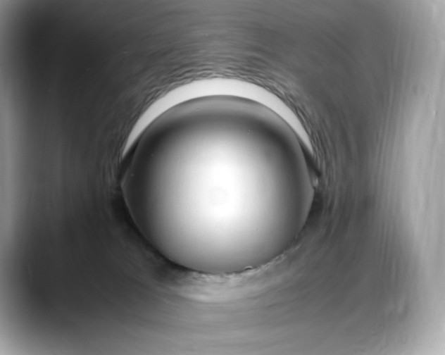 X0000088360037200706051031