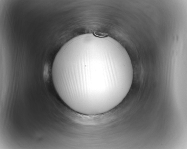 X0000088360038200706051031