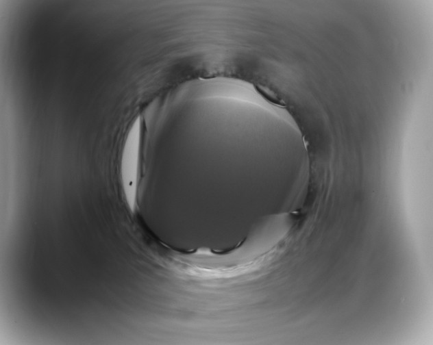 X0000088360039200706051031