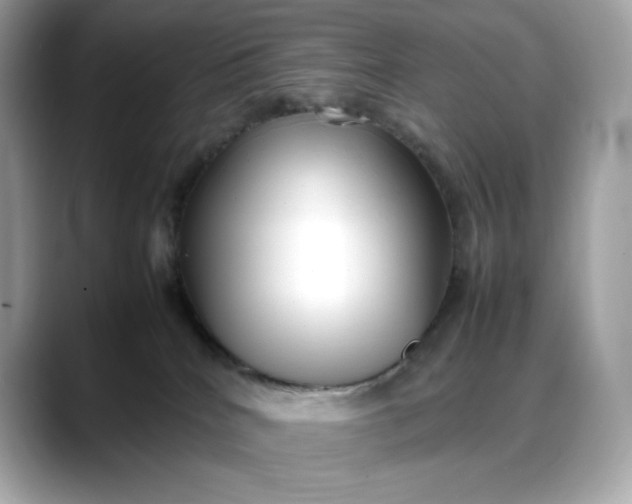 X0000088360040200706051031