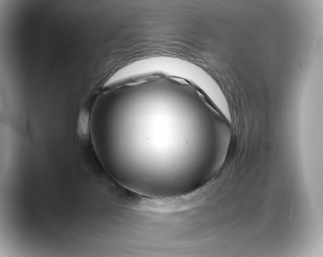 X0000088360041200706051031