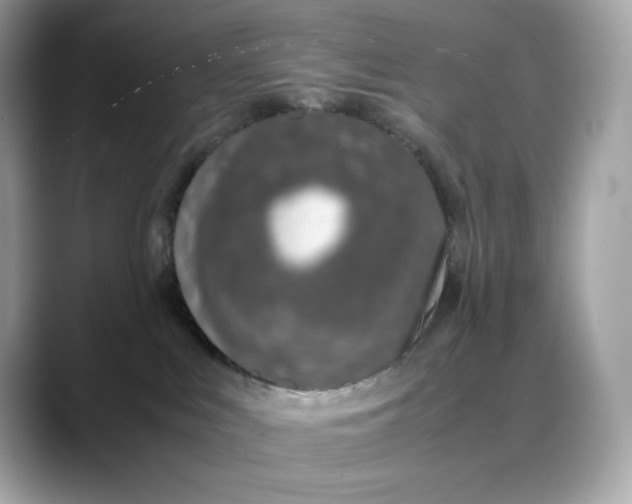 X0000088360043200706051031