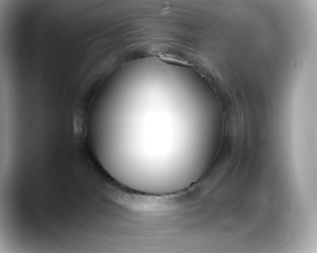 X0000088360044200706051031