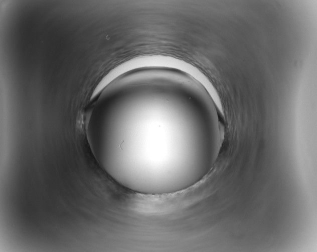 X0000088360045200706051031