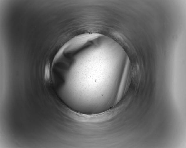 X0000088360046200706051031