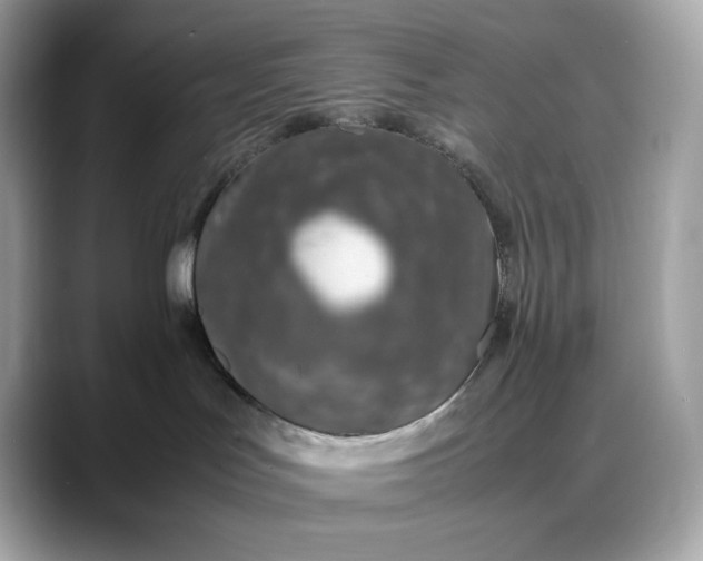 X0000088360047200706051031