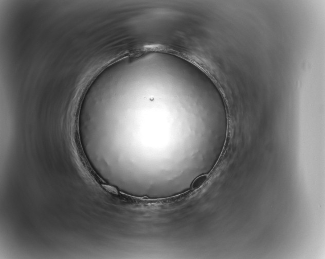 X0000088360049200706051031