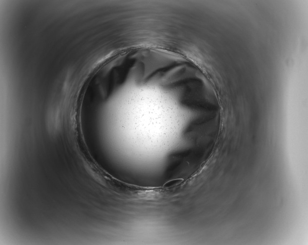 X0000088360050200706051031