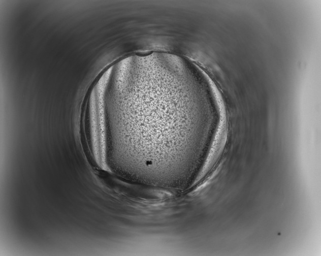 X0000088360051200706051031