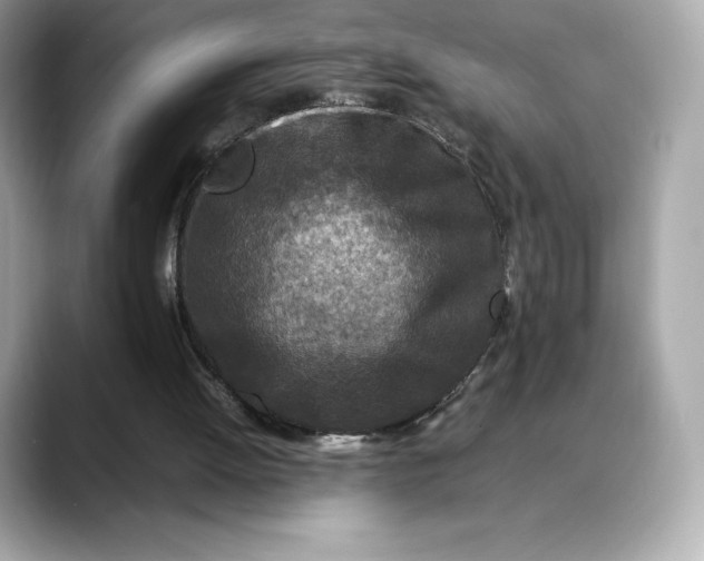 X0000088360052200706051031