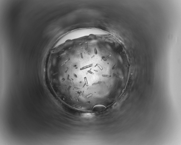 X0000088360053200706051031