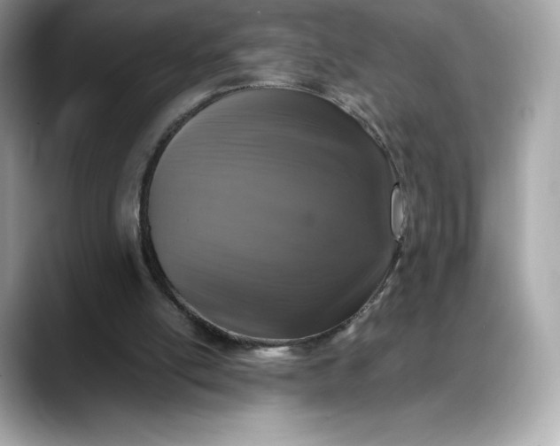 X0000088360054200706051031