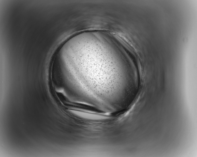 X0000088360055200706051031