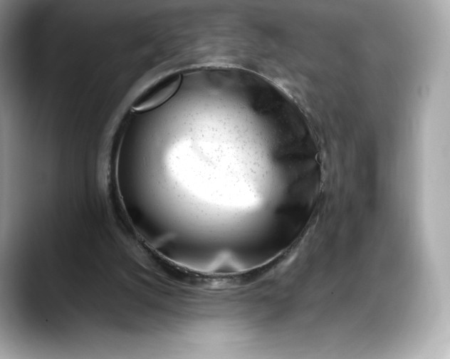 X0000088360056200706051031