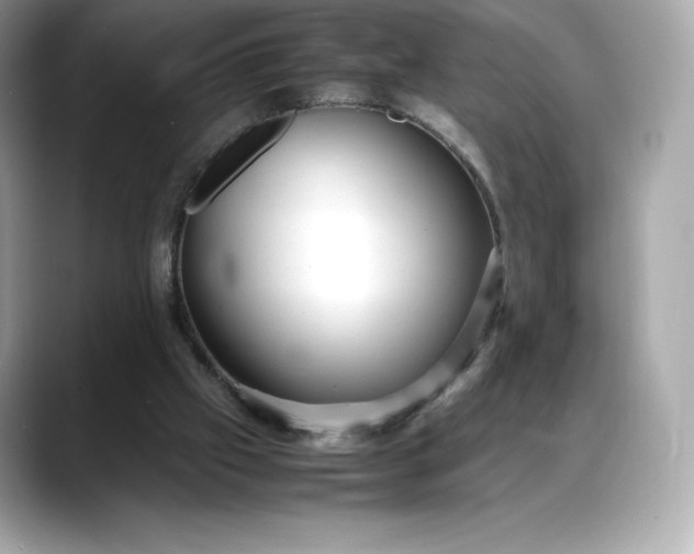 X0000088360057200706051031