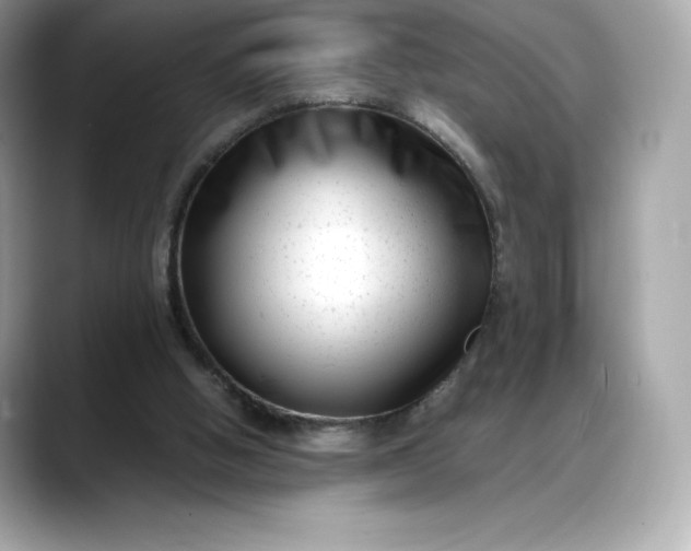 X0000088360058200706051031