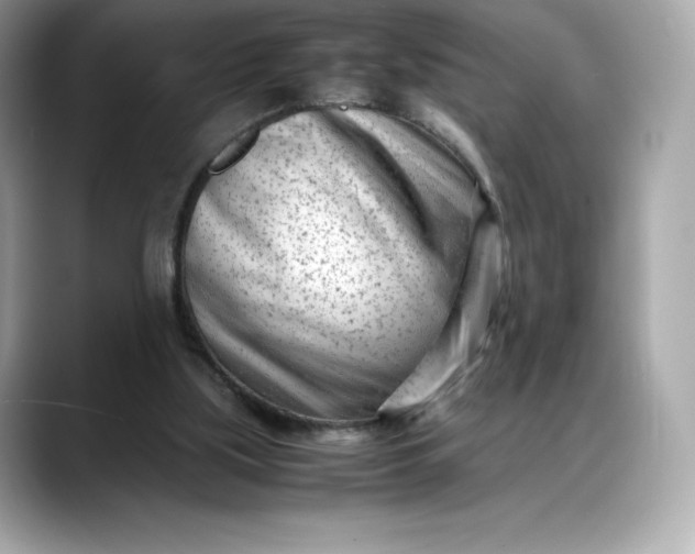 X0000088360059200706051031