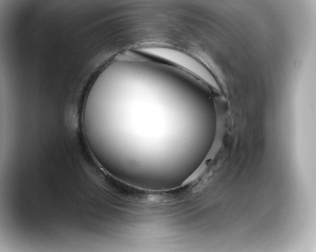 X0000088360060200706051031