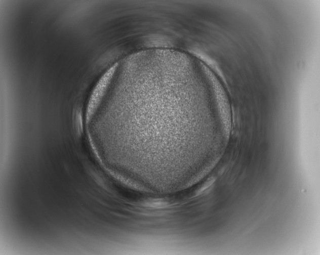 X0000088360061200706051031