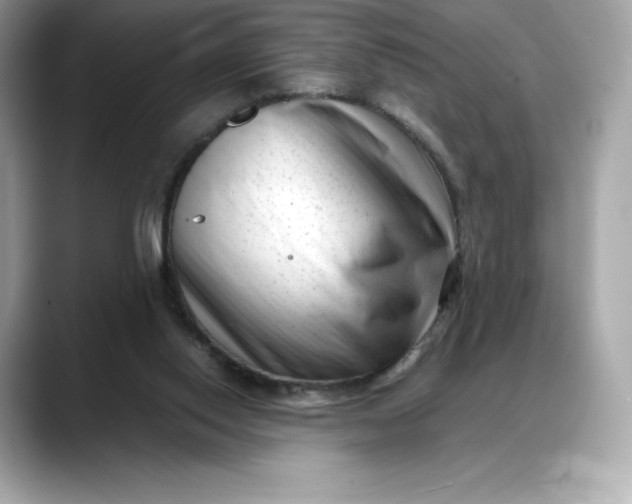 X0000088360062200706051031