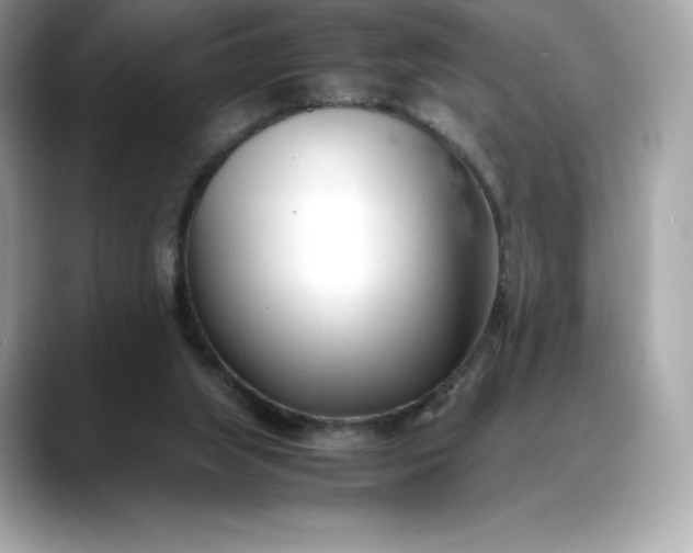 X0000088360063200706051031