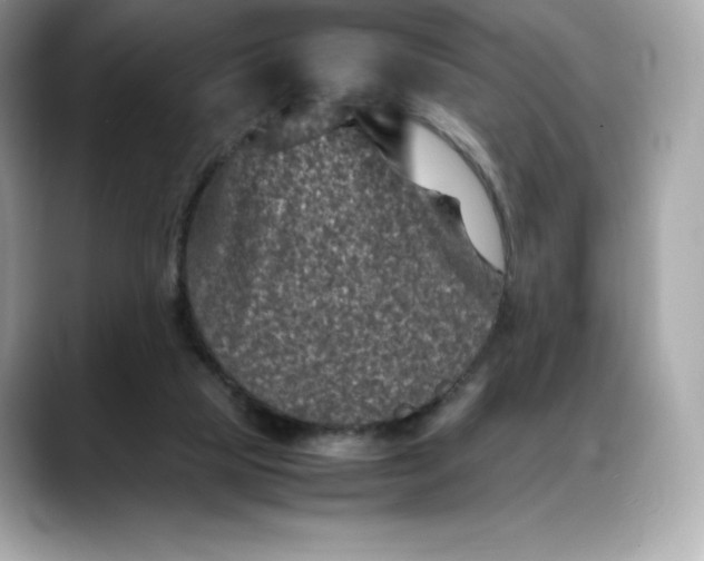 X0000088360065200706051031