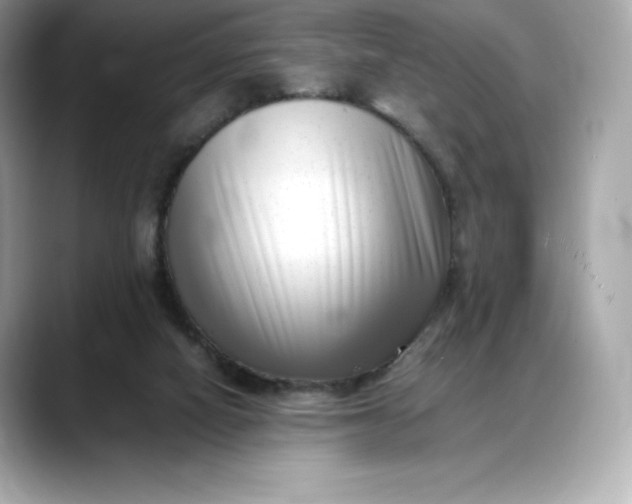 X0000088360066200706051031