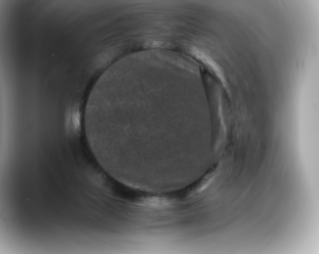 X0000088360067200706051031