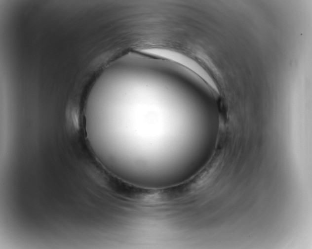 X0000088360068200706051031