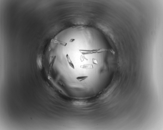 X0000088360069200706051031