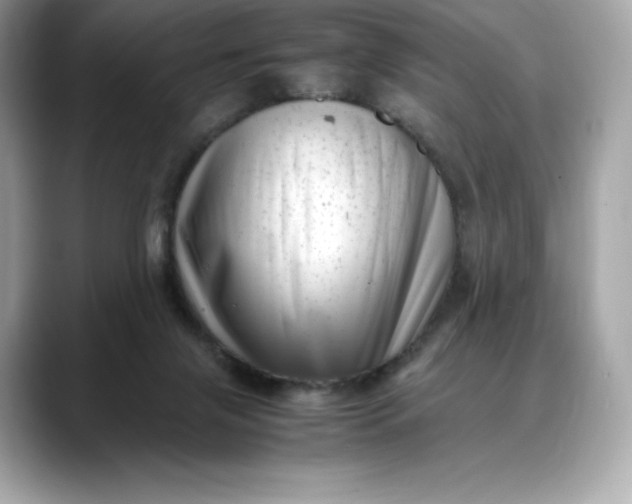 X0000088360071200706051031