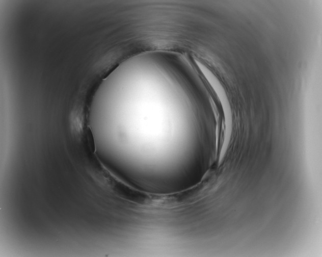 X0000088360072200706051031