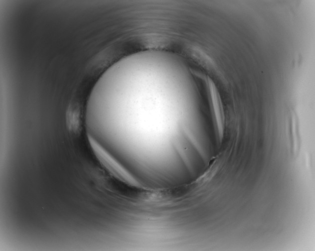 X0000088360074200706051031