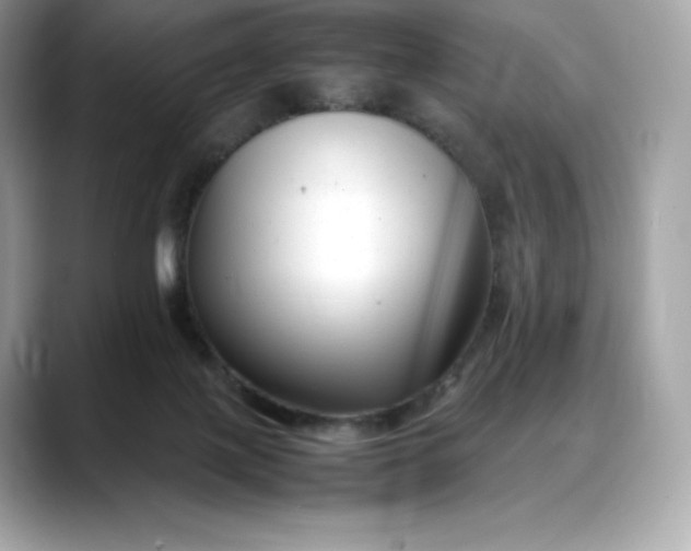 X0000088360075200706051031