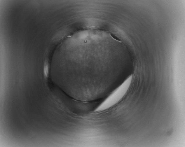 X0000088360076200706051031