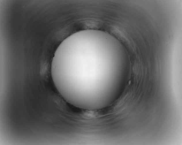 X0000088360079200706051031