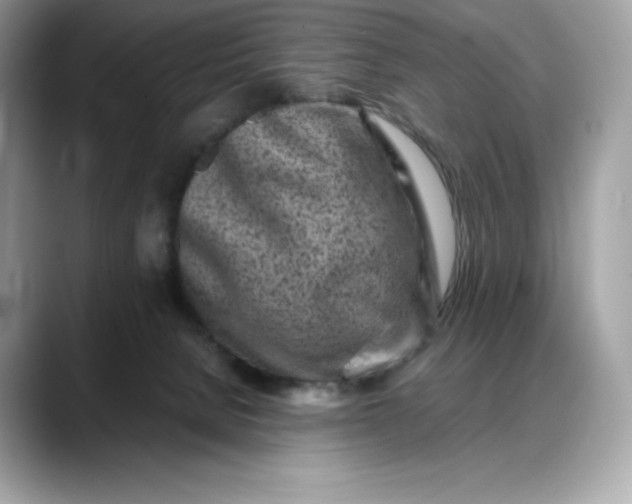 X0000088360080200706051031