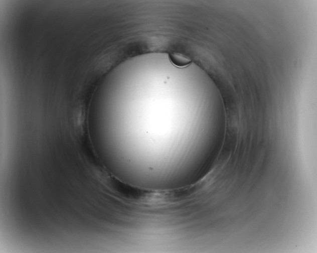 X0000088360082200706051031