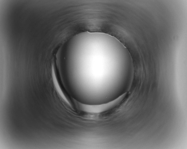 X0000088360084200706051031