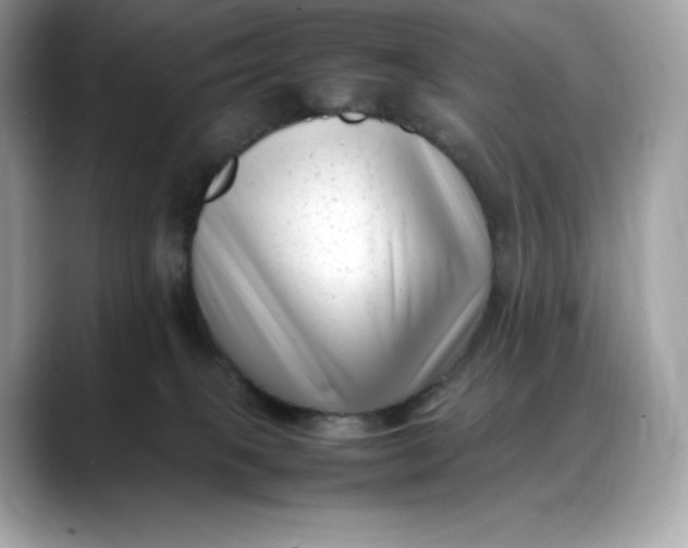 X0000088360085200706051031