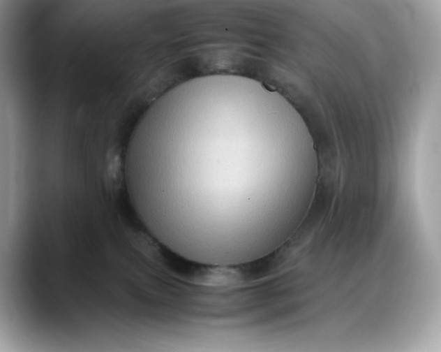 X0000088360087200706051031