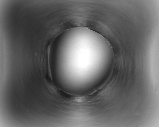 X0000088360088200706051031